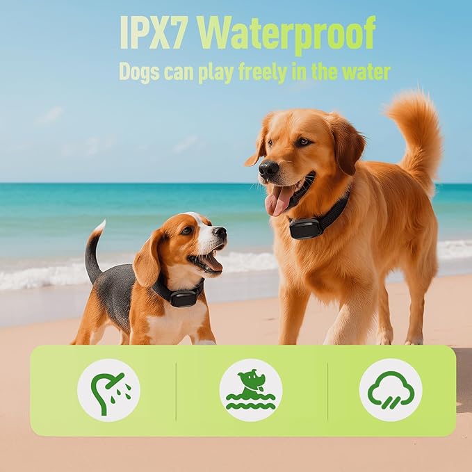 Dog Shock Collar 2 Dogs (5-15Lbs)，1900 ft Waterproof Training Collar for Dogs Medium Small with Rechargeable Remote，Beep (1-3) Vibration (0-9) and Humane Shock (0-9) Modes