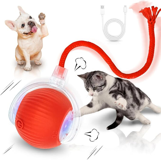 Interactive Cat Toys for Indoor Cats Smart Automatic Ball Rolling for Bored Kitten Pet Upgraded Speedy Moving Chase Dogs Toy Red