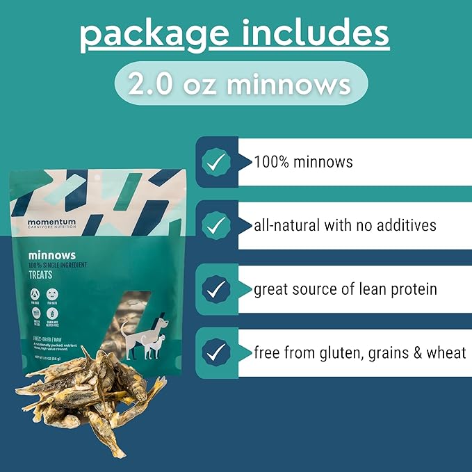 Momentum Carnivore Nutrition Freeze-Dried Minnows Dog Treats & Cat Treats – Single-Ingredient, High-Protein, Grain-Free, Natural Whole-Fish Treat – Made in USA – 2 oz Bag