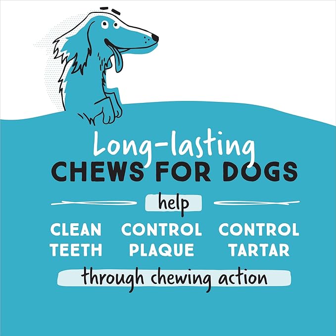 Ultra Chewy Double Treat Bones: Long-Lasting Treats Made in USA for Large and Small Breeds, Highly Digestible, for Aggressive Chewers (Bacon Cheese and Chicken Flavor, 2 Packs)