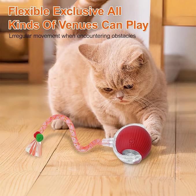 Interactive Cat Toys for Indoor Cats, Automatic Kitten Toys for Bored Indoor Adult Cats, Smart Kitten Rolling Ball Moving Balls Toy, Rechargeable Dog Cat Ball for Enrichment Exercise (Red)