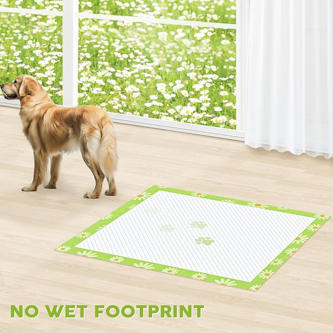 CROCI Dog Pads Extra Large 36x36in Daisy Pattern, Puppy Pads with Adhesive Tabs Super Absorbent Up to 11 Cups, Leak-Poof & Quick Dry Disposable (100 Counts)