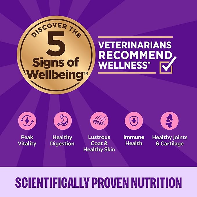 Wellness Complete Health Grilled, Adult Wet Cat Food, Natural, Protein-Rich, Grain-Free, Canned, 3 Ounce, 12 Pack, (Beef and Lamb Dinner Recipe)