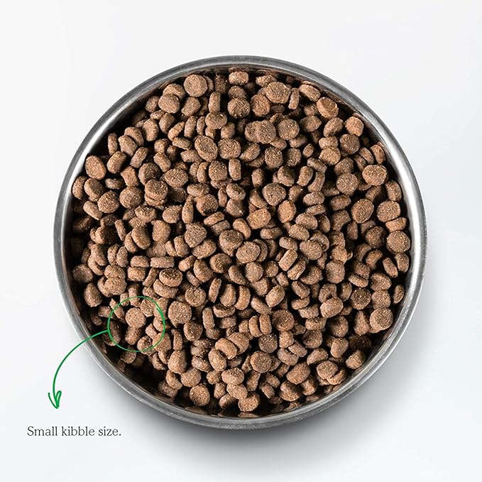 Open Farm, Grain Free Dry Cat Food, High-Protein Kibble for a Complete & Balanced Diet, Non-GMO Fruits & Vegetables, Prebiotic Fibers to Support Digestion, Catch-of-The Season Whitefish, 2lb Bag