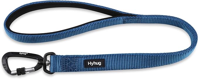 Hyhug Pets 24” Heavy Duty Nylon Short Leash with Comfortable Handle and Lightweight Aviation Aluminium Clip Lead- for Large Medium Dogs Daily Walking&Training. (24 Inches, Classic Blue)