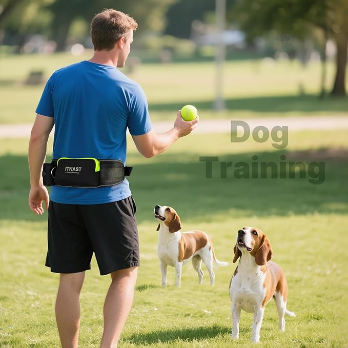 Hands Free Dog Leash for 2 Dogs, Waist Support Padded Bungee Dog Running Leash with Reflective Stitching for Walks, Jogging, Running, Hiking, and Dog Training