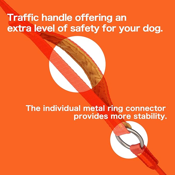 Howgo Dog Slip Lead Dog Leash, Training Lead, No-Pull Slip Leash and Collar, Heavy Duty & Durable Nylon, Padded Handle, for All Breeds (Green, 5FT)