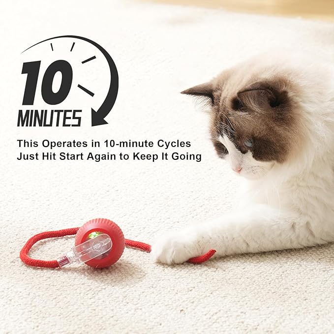 2025 New 2Pack Cat Ball Kitten Toys for Indoor Interactive Kitty Ball Toy Speedy Tail 360° Automatic Rolling(Red Grey)