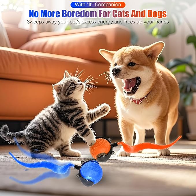2PCS Interactive Cat Toy for Indoor Cats, Speedy Ball with Tail, Automatic Moving Cat Balls for Bored Indoor Adult Cats, Two Speed Adjustment,360°Automatic Rolling Ball Toy (Blue+Orange)