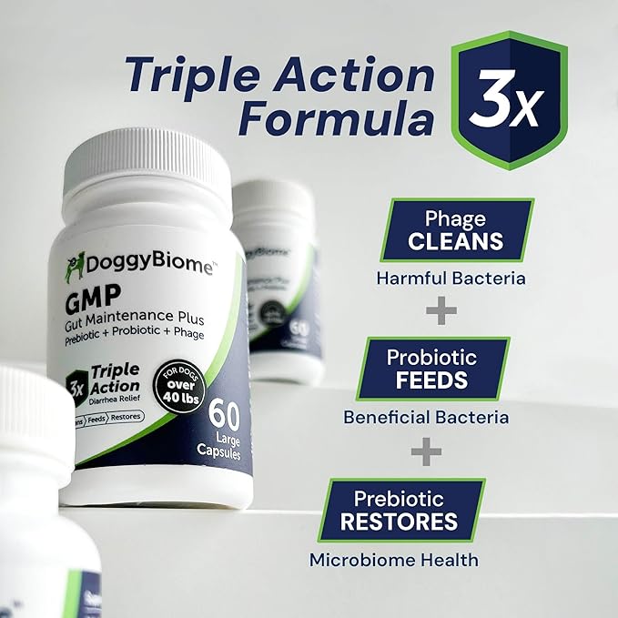 AnimalBiome Dog Probiotics - GMP Prebiotics and Probiotics - Reduce Diarrhea Flareups - for Dogs Over 40 lbs (60 Capsules) - DoggyBiome