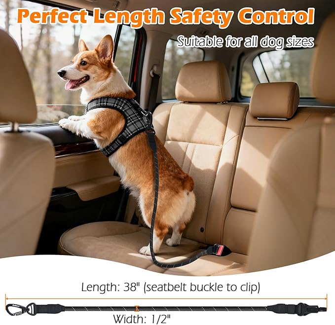 PetBonus Dog Seat Belt for Car, Durable Rope Dog Car Harness Seatbelt for Vehicle, Pet Tether Safety Restraint with Heavy Duty Buckle Hook Latch Lockable Clip for Small Medium Large Breeds (Black)