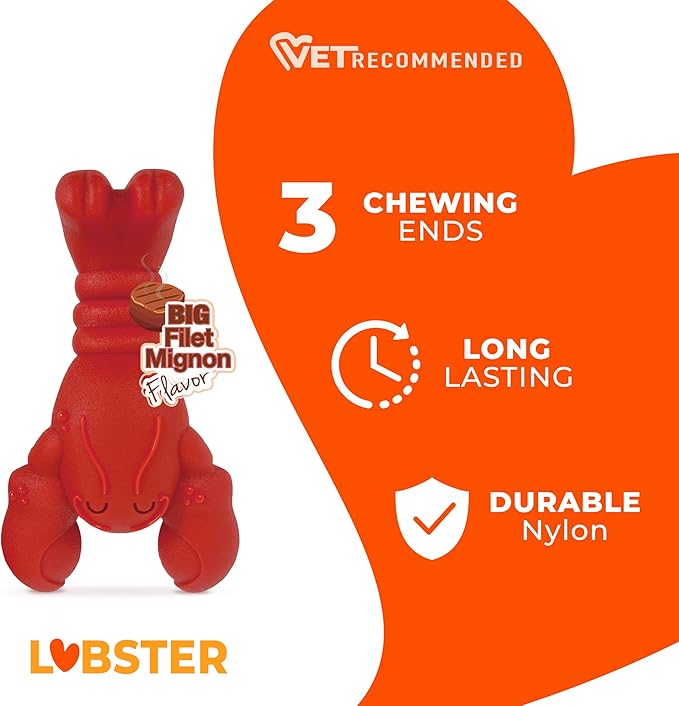 Nylabone Lobster Power Chew Toy for Dogs, Dog Toys for Aggressive Chewers, Filet Mignon Flavor, Small Dogs - Up to 25 Ibs, 1 Count