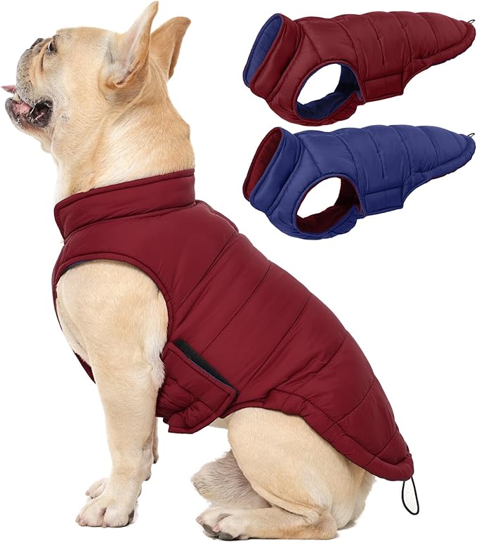 QBLEEV Reversible Dog Winter Coat, Waterproof Windproof Warm Jacket with Adjustable Hook & Loop Design, Lightweight Puffer Vest for Medium Dogs, Wine Red, M – Fits Pug, Beagle, Corgi