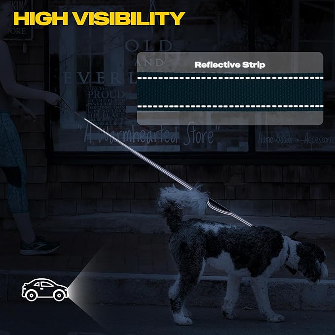 Fida 10ft Heavy Duty Dog Leash with 2 Comfortable Padded Handles, Traffic Handle & Advanced Easy Snap Hook, Reflective Walking Lead for Large, Medium & Small Breed Dogs,Blue