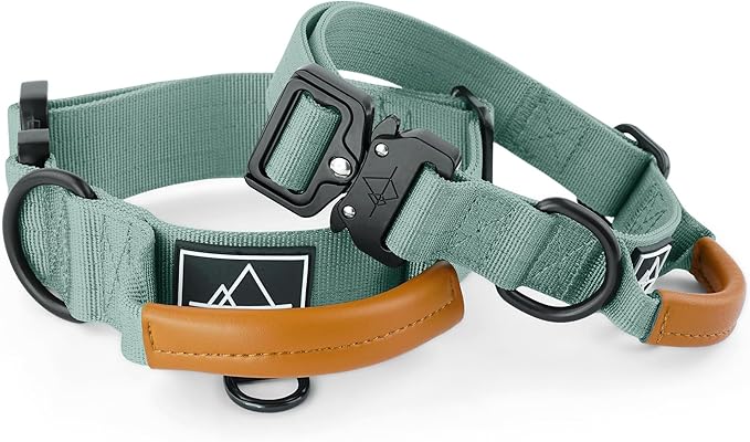 Made to ROAM Premium Explorer Control Collar - Adjustable Heavy Duty Nylon Dog Collar with Quick-Release Metal Buckle and Handle (Florida Seaside, Control Size 4)