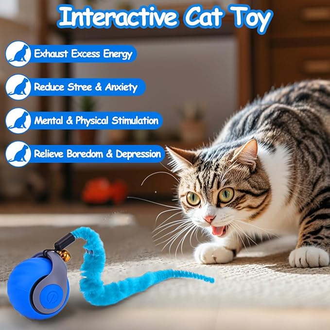 2PCS Interactive Cat Toy Ball with Feather Tails - Speedy Cat Toys for Indoor Cats, Moving Stimulation Smart Cat Toy for Enrichment, Motion Activated Automatic Rolling Toys to Keep Them Busy Blue