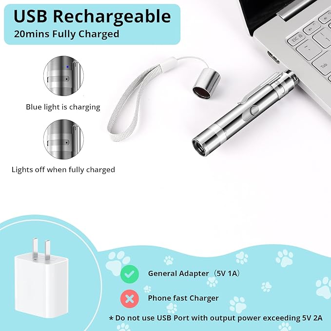 Cat Toy Pointer for Indoor Cats, 2 Pieces, USB Rechargeable Kitten Toys with 7 Adjustable Patterns, Interactive Chase Toys for Indoor Cats & Dogs, Training & Exercise Fun