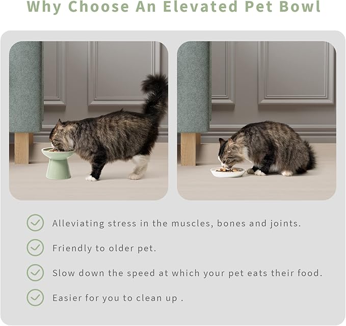 2 Elevated Ceramic Cat Bowls Extra Wide for Food & Water – Whisker Fatigue Shallow Food Dish, Lead & Cadmium-Free, Raised Height for Cats, Sage Green