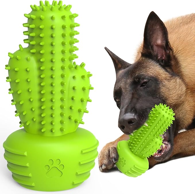 Dog Chew Toys & Teeth Cleaning Brush - Dental for Small, Medium & Large Dogs, Rubber Squeaky Toys for Aggressive Chewers, Cactus Tough Toys