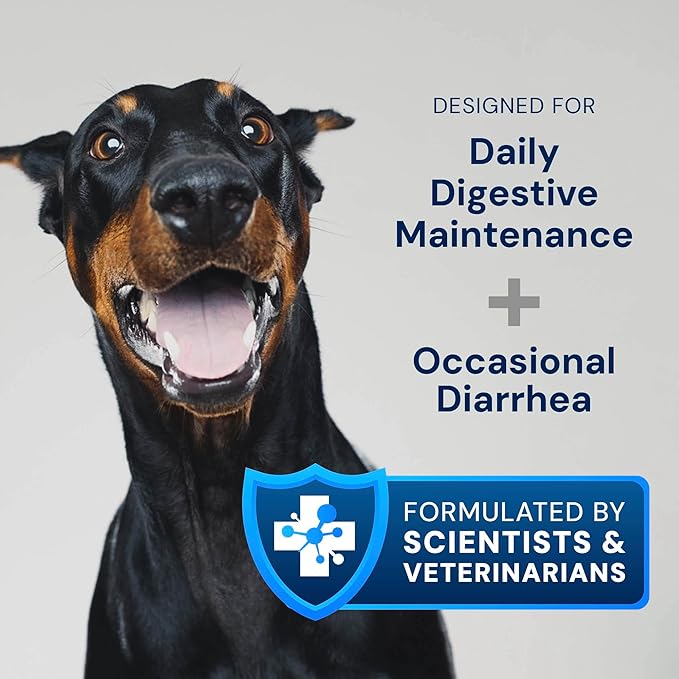 AnimalBiome Dog Probiotics - GMP Prebiotics and Probiotics - Reduce Diarrhea Flareups - for Dogs Under 20 lbs (60 Capsules) - DoggyBiome