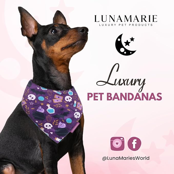 LunaMarie - Luxury Dog Bandanas - Cute Witch Magic Design | Premium & Silky Fabric | 100% Handmade | Custom Shape Dual Layered Reversible Small, Medium, Large Cat Scarf (Bewitched, Medium)