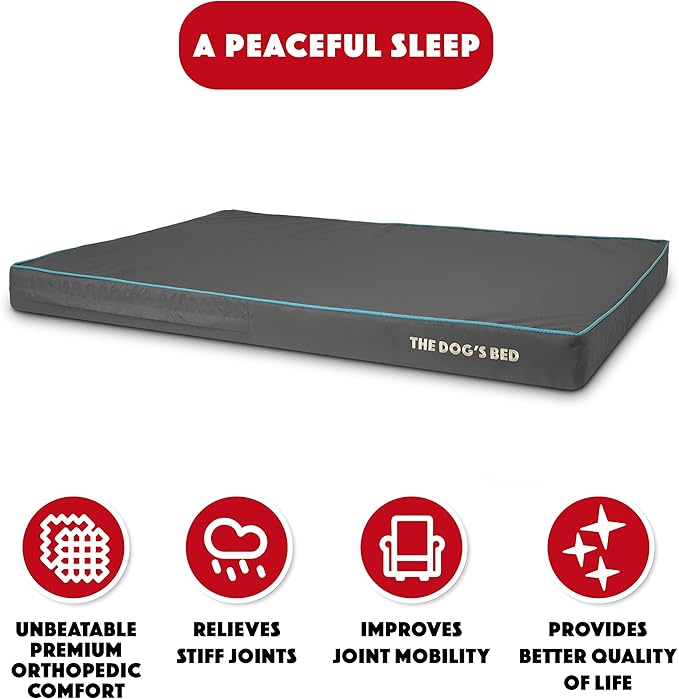 The Dog’s Bed Orthopedic Memory Foam Dog Bed, XXL Grey/Blue, Pain Relief for Arthritis, Hip & Elbow Dysplasia Post Surgery, Lameness, Supportive Calming, Waterproof Washable Cover, Veterinary Approved