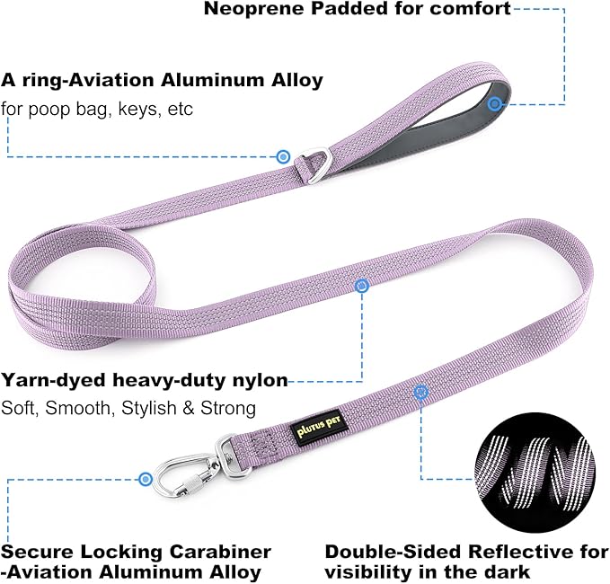 Plutus Pet Heavy Duty Dog Leash with Lockable Aluminum Carabiner, 4/6 Feet Long, Double-Sided Reflective Nylon, Padded Handle, for Puppy, Small, Medium and Large Dogs (Lilac Purple, 4/5" x 6')