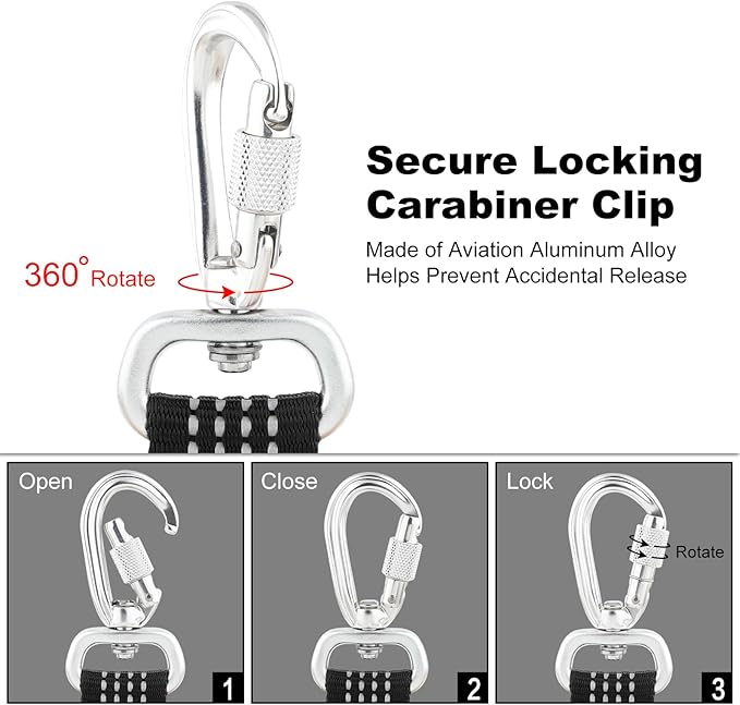 Plutus Pet Heavy Duty Dog Leash with Lockable Aluminum Carabiner, 4/6 Feet Long, Double-Sided Reflective Nylon, Padded Handle, for Puppy, Small, Medium and Large Dogs (Black, 1" x 4')