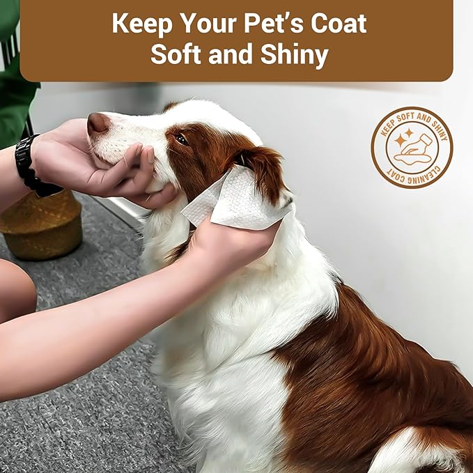 100 Coconut Oil Dog Wipes for Paws and Butt Large Thick Puppy Wipes for Dogs Face and Body Dog Wipes Cleaning Deodorizing Cat Wipes Cleaning Fur and Butt Big Doggie Wipes Doggy Wipes Bum Dog Ear Wipes