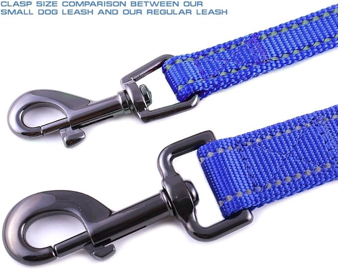 Max and Neo Small Dog Reflective Nylon Leash - Every Purchase Donates One, 4x5/8" (Blue)