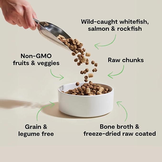 Open Farm, RawMix Dry Cat Food, Protein Packed Kibble Coated in Bone Broth with Freeze Dried Raw Chunks, Formulated For Kittens, Chicken With Turkey & Wild Caught Salmon Recipe For Kittens, 2.25lb Bag