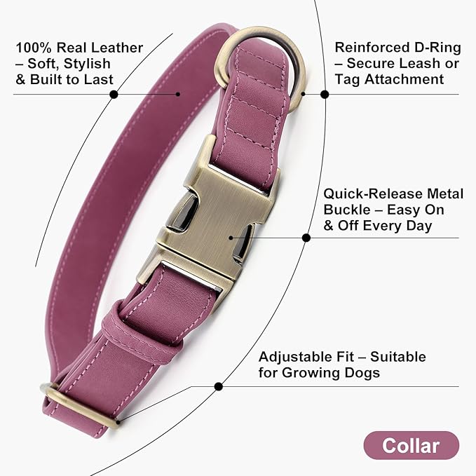 Plutus Pet Genuine Leather Dog Collar – Adjustable Pet Collar with Quick Release Metal Buckle, Soft Real Leather for Small Medium Large Dogs, Heavy Duty & Skin-Friendly (Purple, M)