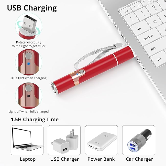 TBTeek Cat Toys, with Metal Case, 2 Pieces, Rechargeable, 7 Adjustable Patterns, Interactive Kitten Pet Dog Chase Toy for Cats Fun Playing Exercise（Red）