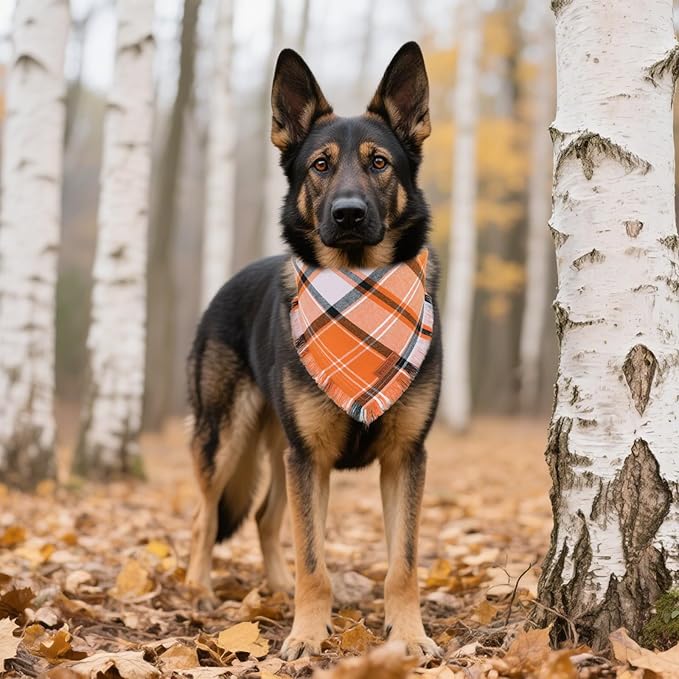 PTDECOR Fall Dog Bandanas with Tassels Edges, 2 Pack Orange Plaid Scarf Bib, Halloween Thanksgiving Pet Bandana, Reversible Triangle Bandanas for Medium Large Dogs Pets (Large)