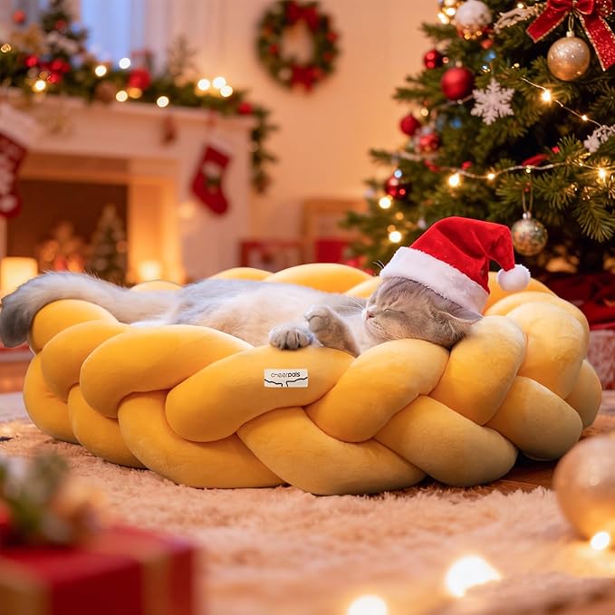CHEERPALS Weave Cat Bed for Indoor Cats,Cute Pet Bed with Washable Cushion Fluffy Kitty Bed for Small Dog(Eggshell Yellow)