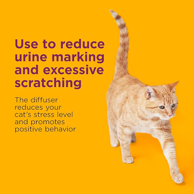 COMFORT ZONE Multi Cat Calming Diffuser Refill, 2 Pack – Cat Calming Pheromone Refills Help Reduce Anxiety, Stress, Scratching, Urine Marking, Multi-Cat Aggression, (30-Day Refills, 60-Day Supply)
