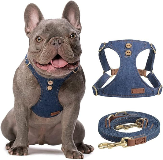 No Pull xs Dog Harness with Multifunction Dog Leash,Soft Adjustable No Choke Escape Proof Pet Harness Vest,Denim Blue,XXS