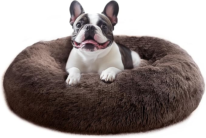 JOLLYVOGUE Calming Small Dog & Cat Bed for Indoor Cats - 20 inches Washable Donut Bed for Kittens & Puppies, Anti-Anxiety Round Fluffy Plush Pet Beds (Fits up to 15 lbs)