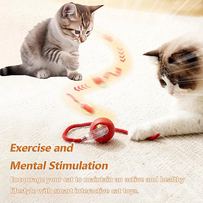 Interactive Rolling Cat Ball, Cat Rotating Toy, 360° Smart Rolling Ball Toy Electric Balls,Suitable for Floors, Carpets, Tiles, Living Rooms (Grey)