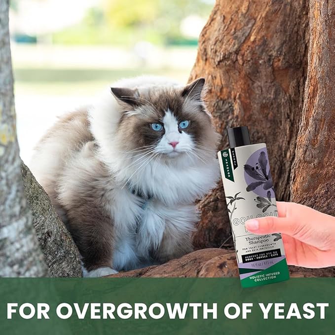 Holistic Natural Anti-Fungal Shampoo for Dogs, Cats & Horses: Veterinarian Recommended: Relieve Itching & Flaking Skin Caused by Fungal Infections & Skin Conditions - Made in USA - 16 oz