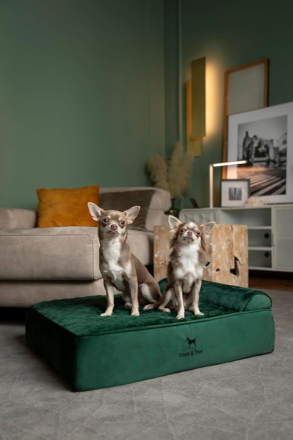 NOAH & PAW Dog Bed, 28x23x7.5 Inch, Orthopedic Dog Beds for Medium Size Pets, Eggshell Memory Foam Infused with Cooling Gel, Waterproof, Machine Washable, Includes Inner Cover (Velvet Collection)