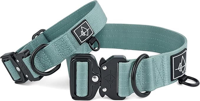 Made to ROAM Premium Dog Collar - Adjustable Heavy Duty Nylon Collar with Quick-Release Metal Buckle (Florida Seaside, Classic Size 3)