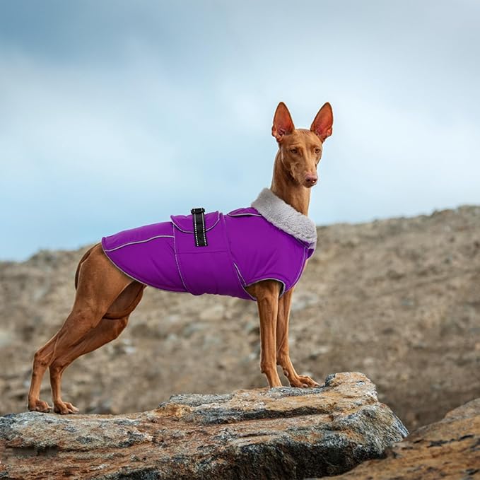 Lelepet Warm Dog Winter Coats for Large Dogs Waterproof Dog Jacket Reflective Pet Fleece Vest Windproof Cold Weather Coats with Adjustable Buckle & Leash Hole, Purple, XL