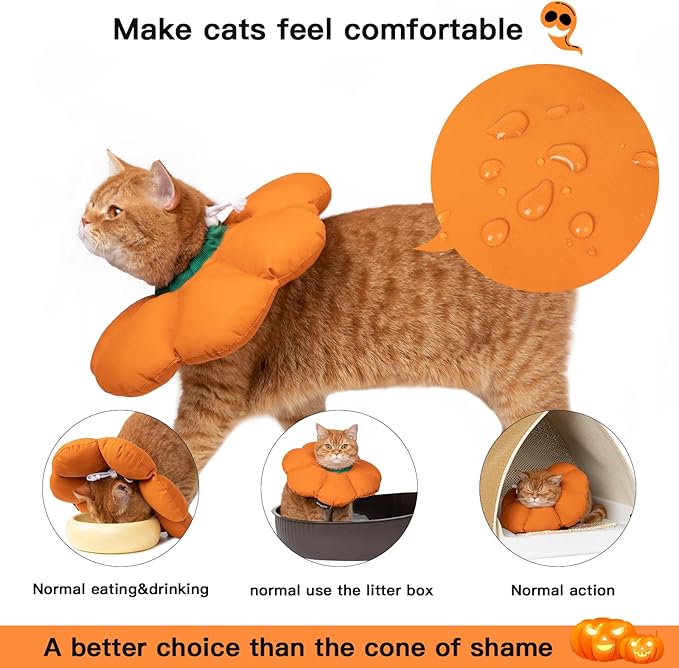 H HIDREAM Cat Cone Collar,Cute Waterproof Recovery Collar,Anti-Bite Lick Wound Healing Safety Elizabethan e Collar for Cats,Orange Pumpkin Halloween Costume, HDY01-005M