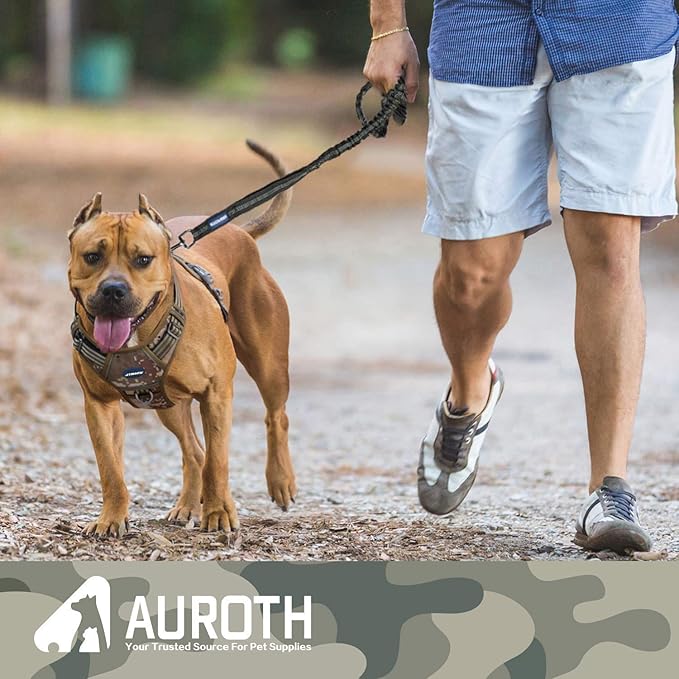 AUROTH Heavy Duty Bungee Dog Leash for Shock Absorption - 6FT Black Training Leash with 2 Padded Handles for Medium Large Breed Dogs