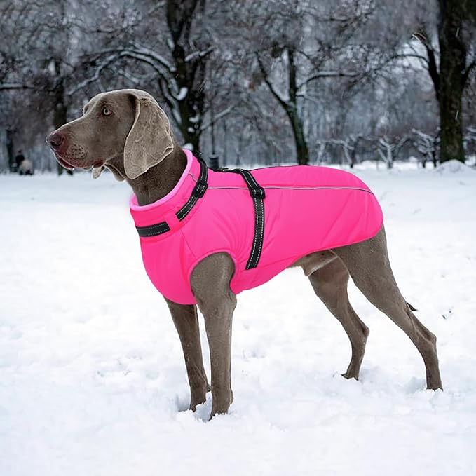 Lelepet Dog Winter Coat Waterproof Dog Jacket with Harness Built in Windproof Reflective Pet Coats for Small Medium Large Dogs, Thermal Fleece Lined Coats for Cold Weather Walking Hiking, Rose Red, XL