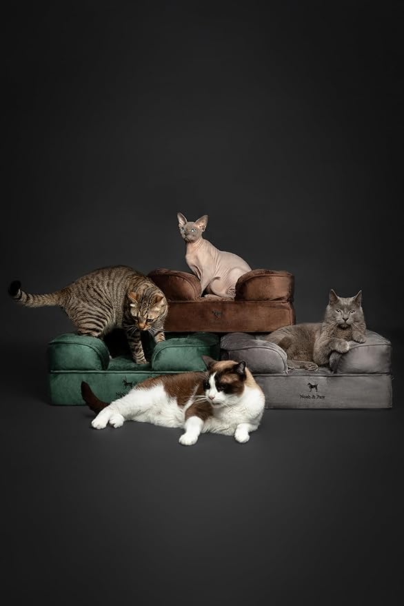 NOAH & PAW Small Dog Bed, 20x15x8 Inch, Cat Bed for Indoor Cats, Orthopedic Eggshell Memory Foam Infused with Cooling Gel, Waterproof Inner Cover Machine Washable (Velvet Collection)