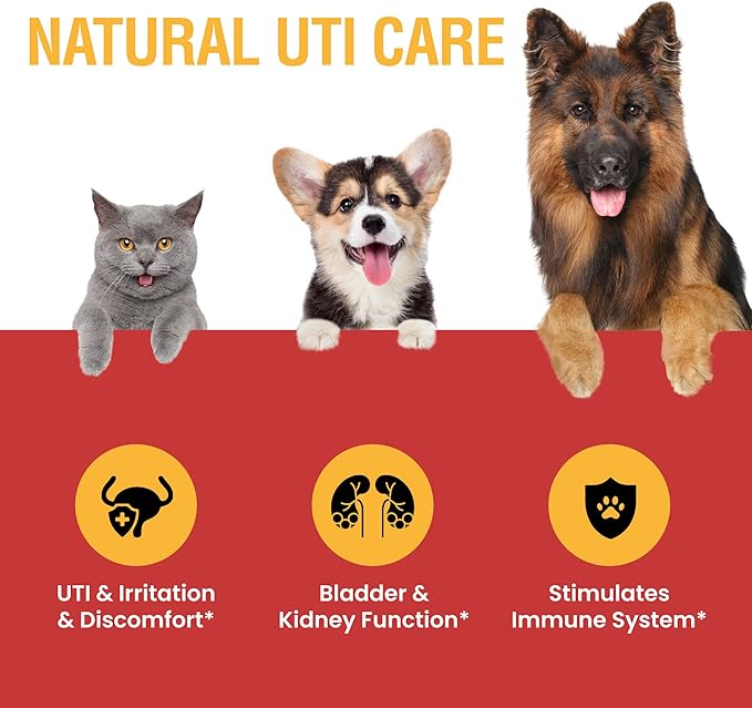 Urinary Tract Infection Treatment for Cats and Dogs - Cranberry UTI Supplement, Kidney and Bladder Support, 2 oz
