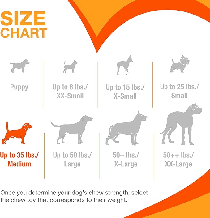 Nylabone Cheese Bone Power Chew Toy for Dogs, Cute Dog Toys for Aggressive Chewers, Cheese Flavor, Medium Dogs - Up to 35 lbs, 1 Count