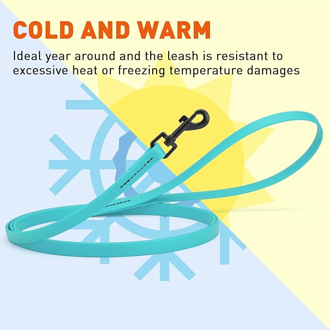 Dogline Biothane Waterproof Dog Leash Strong Coated Nylon Webbing with Black Hardware Odor-Proof Easy to Clean High Performance for Small or Large Dogs Made in USA 4 or 6 ft Lead, Sky Blue